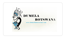 Creative Next Solutions client dumela botswana