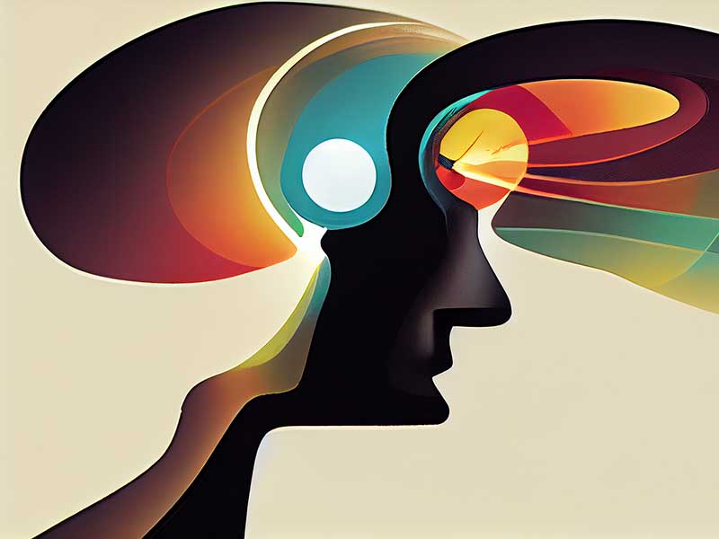 E-commerce Websites in Pakistan