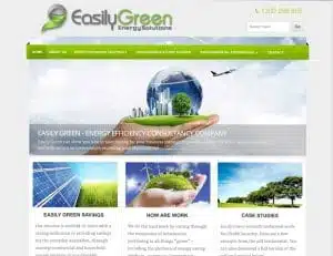 Project Easily Green- Creative Next Solution